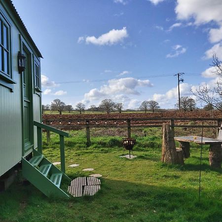 The Old Mill Shepherds Hut Okehampton Exteriör bild