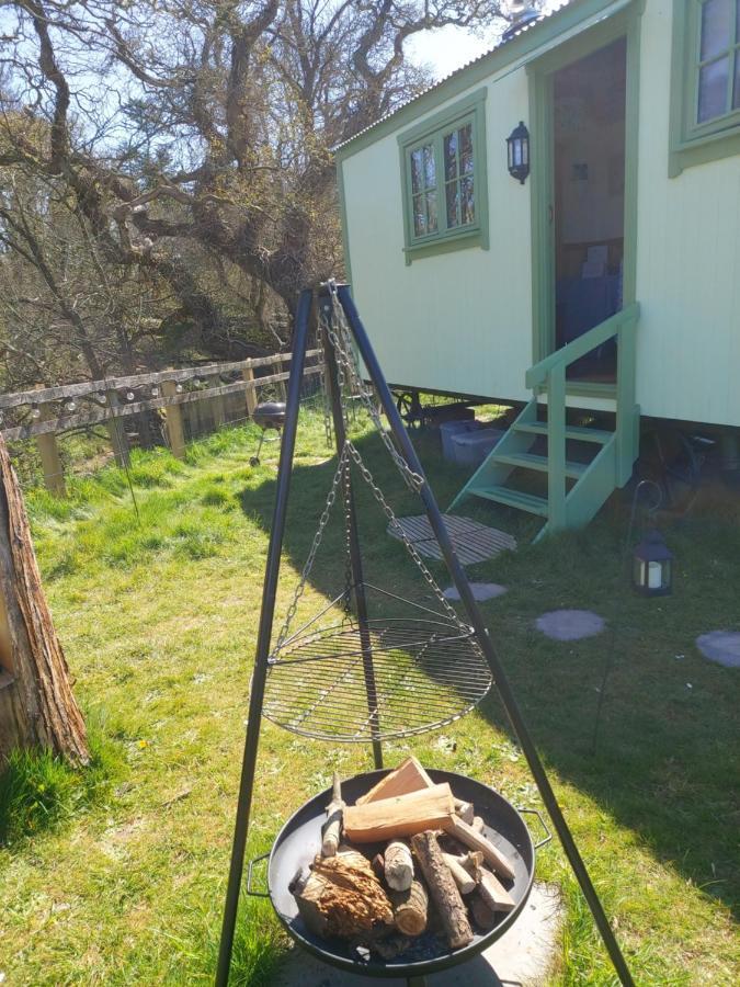 The Old Mill Shepherds Hut Okehampton Exteriör bild